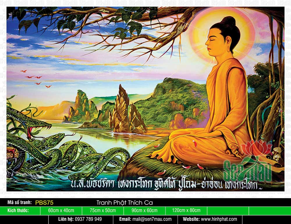 Tranh Phật Thích Ca Mâu Ni Đẹp PBS75