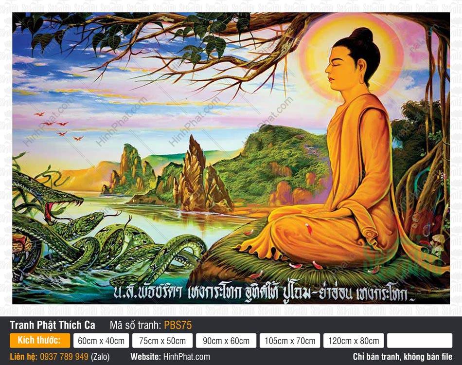 Tranh Phật Thích Ca Mâu Ni Đẹp PBS75 Tranh Phật Thích Ca Mâu Ni Đẹp PBS75 tọa thiền dưới gốc bồ đề bên bầy rắn hổ mang hùng vĩ