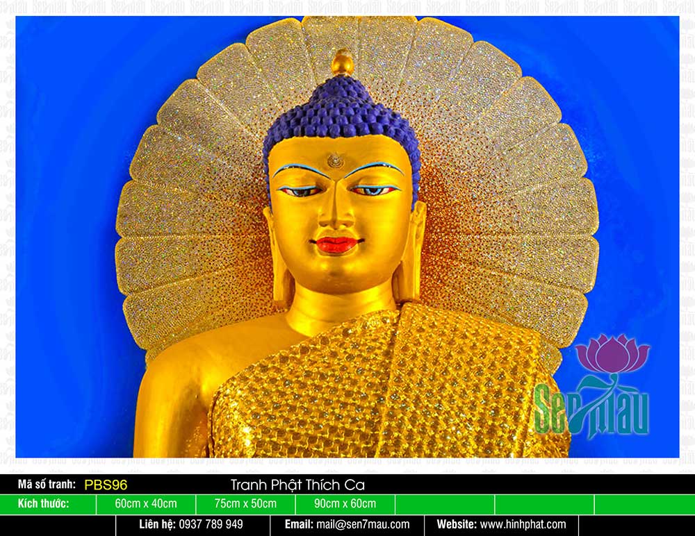 Tranh Phật Thích Ca Mâu Ni Đẹp PBS96