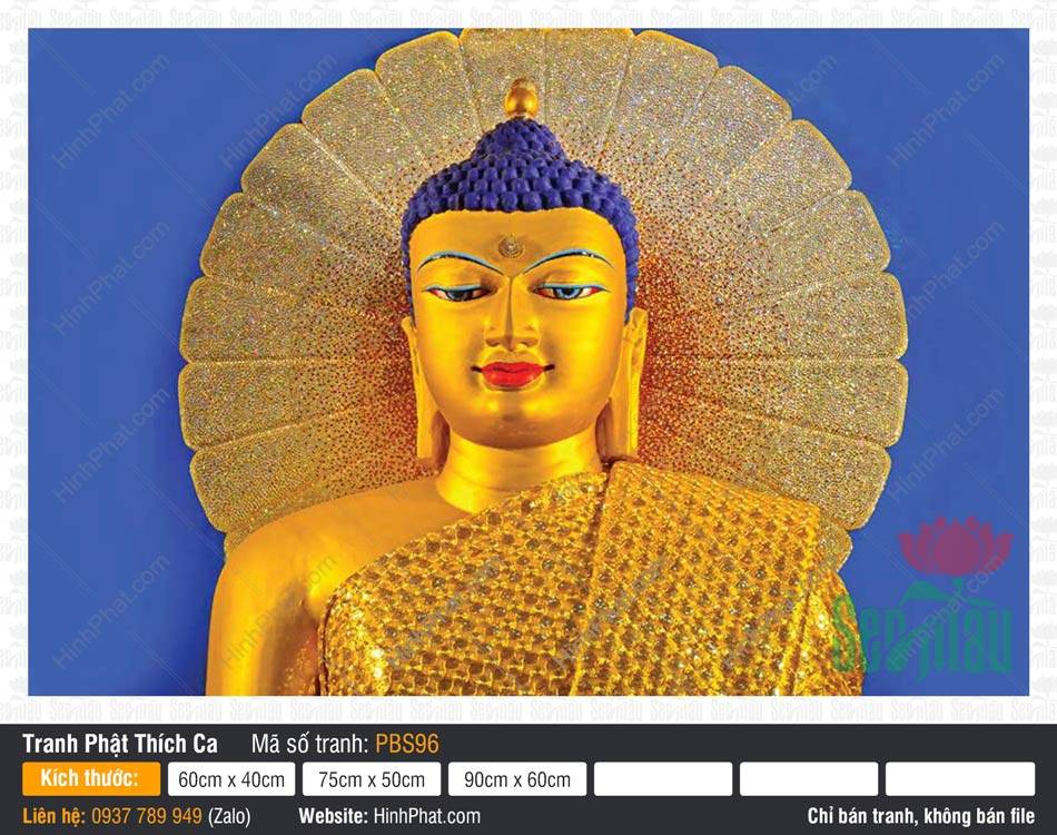 Tranh Phật Thích Ca Mâu Ni Đẹp PBS96 Tranh Phật Thích Ca Mâu Ni Đẹp PBS96 tôn tượng diện kim thân với hào quang vàng rực rỡ