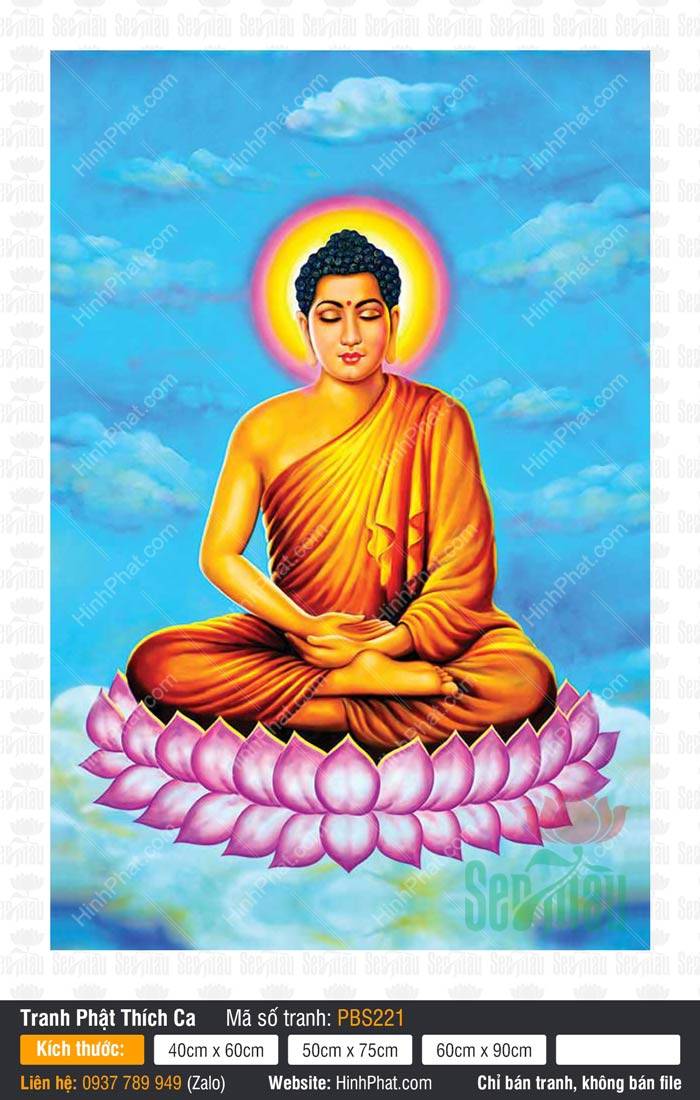 Tranh Phật Thích Ca Mâu Ni PBS221 Tôn ảnh Tranh Phật Thích Ca Mâu Ni PBS221 với Đức Thế Tôn ngự tòa sen hồng trên nền mây trời xanh