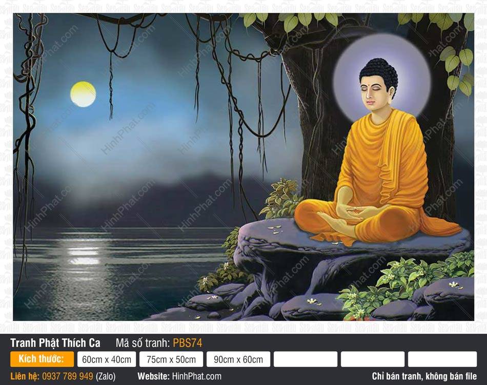 Tranh Phật Thích Ca Mâu Ni PBS74 Tranh Phật Thích Ca Mâu Ni PBS74 tọa thiền tĩnh lặng trên đá dưới gốc Bồ Đề