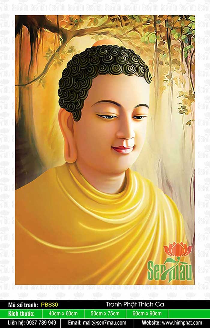 Tranh Phật Thích Ca - PBS30