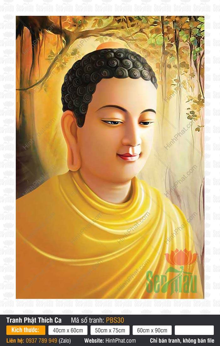 Tranh Phật Thích Ca PBS30 Tranh Phật Thích Ca PBS30 chân dung Đức Thế Tôn tỏa hào quang vàng dưới gốc bồ đề