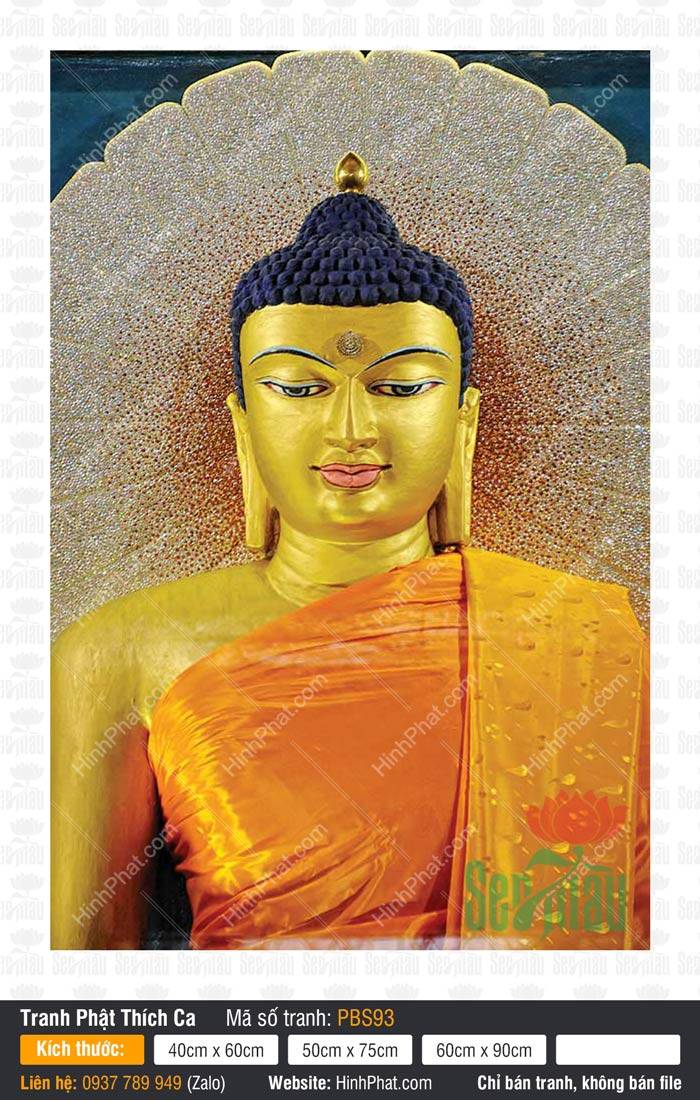 Tranh Phật Thích Ca PBS93 Tranh Phật Thích Ca PBS93 chân dung Đức Phật diện kim thân với hào quang rực rỡ