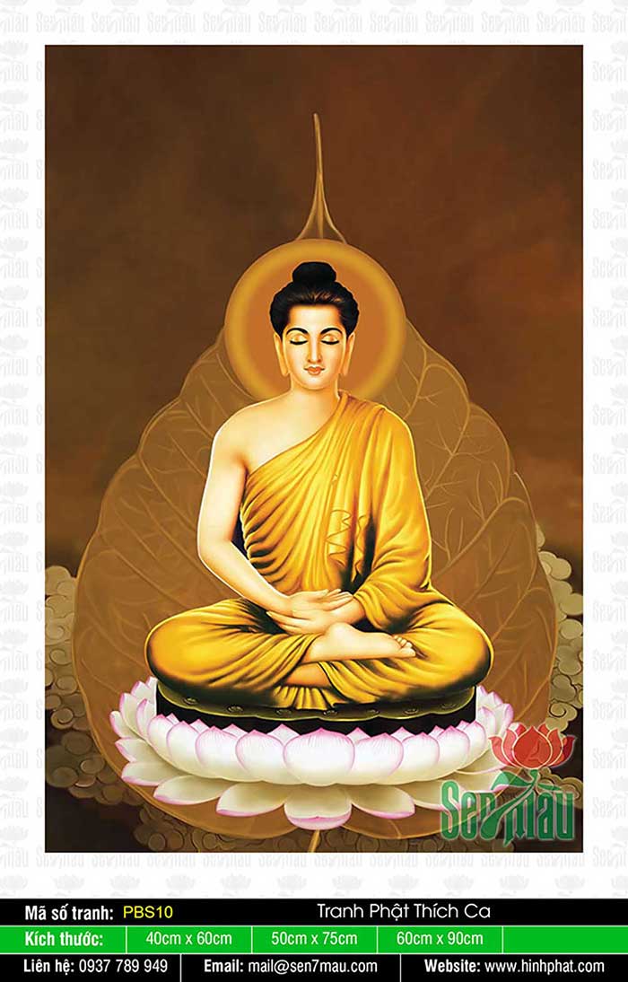 Bổn Sư Thích Ca Mâu Ni Phật - PBS10