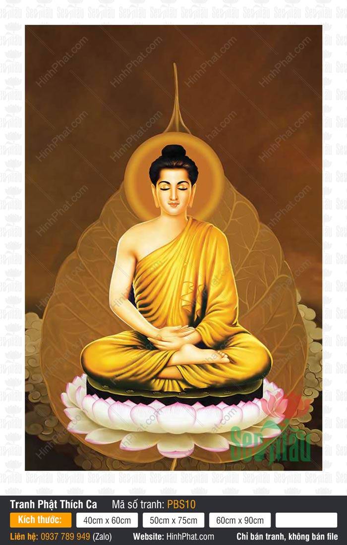 Bổn Sư Thích Ca Mâu Ni Phật PBS10 Bổn Sư Thích Ca Mâu Ni Phật PBS10 tọa thiền trên tòa sen hồng lá bồ đề vàng