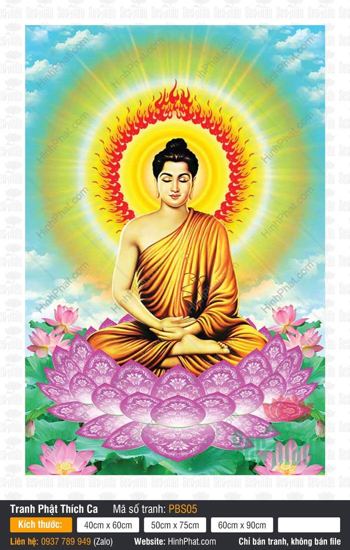 Hình Phật Thích Ca Đẹp PBS05 Hình Phật Thích Ca Đẹp PBS05 tọa thiền trên đài sen tím hồng giữa trời xanh