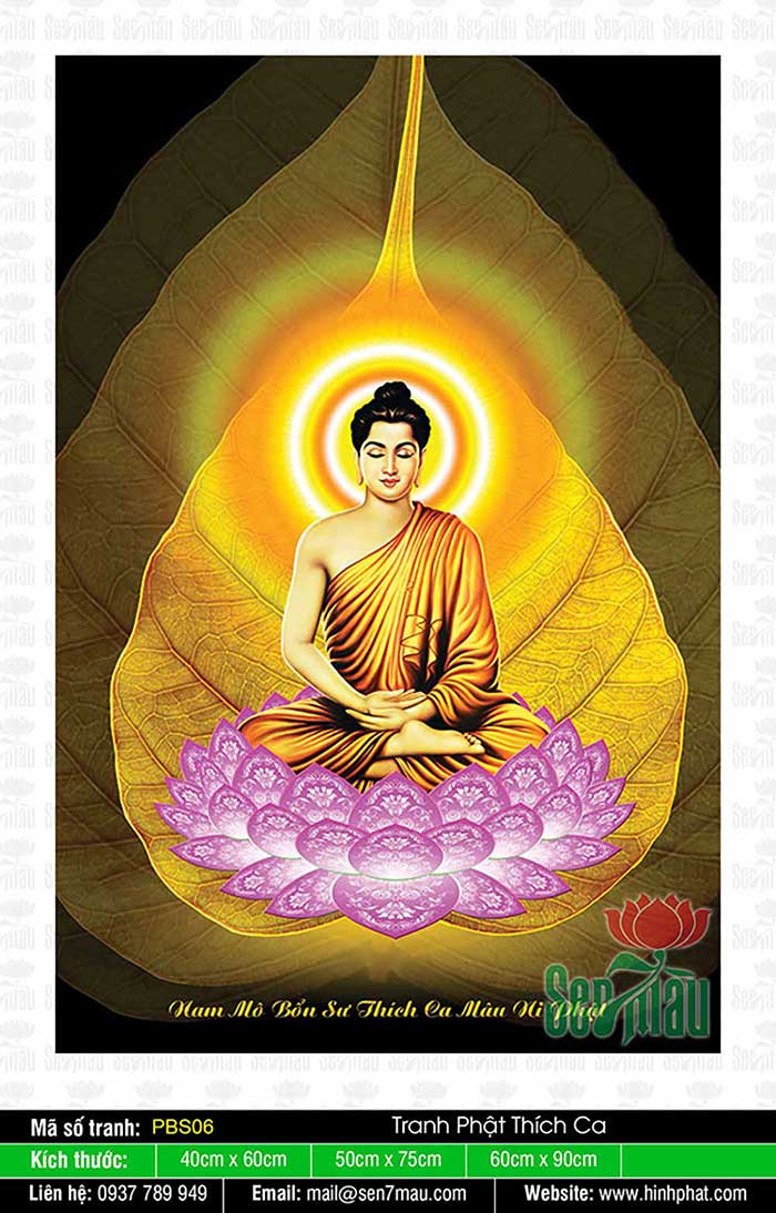Hình Phật Thích Ca Khổ Lớn - PBS06