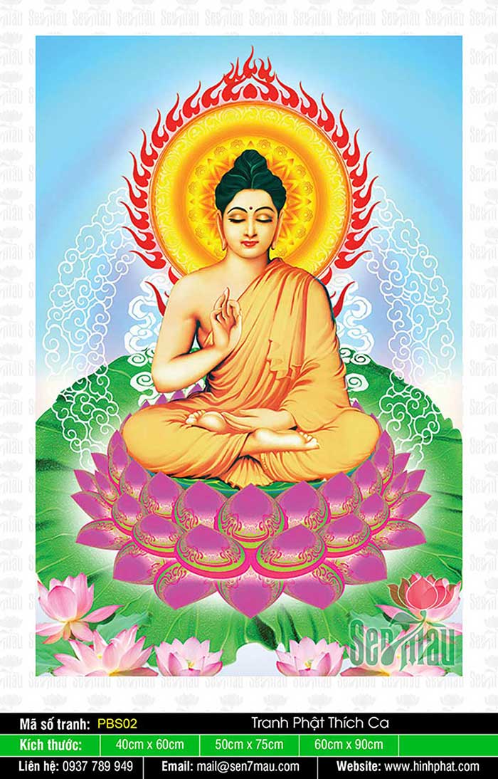Phật Thích Ca Đẹp - PBS02