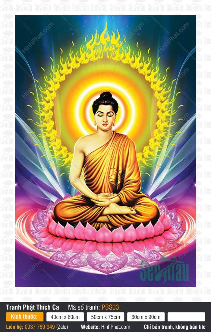 Phật Thích Ca Mâu Ni PBS03 Phật Thích Ca Mâu Ni PBS03 tọa thiền trên đài sen hồng với hào quang chư Phật rực rỡ