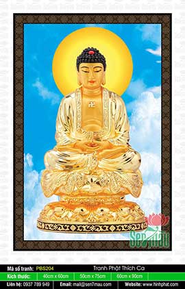 Bổn Sư Thích Ca Mâu Ni Phật PBS204