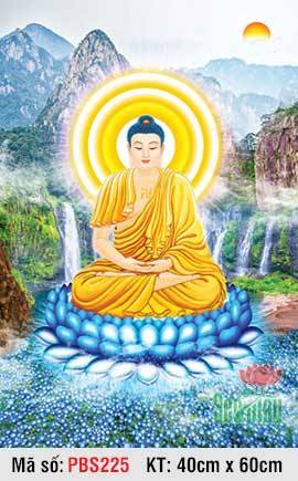 Bổn Sư Thích Ca Mâu Ni Phật PBS225, Phật Thích Ca
