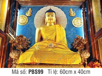 Bổn Sư Thích Ca Mâu Ni Phật PBS99, ngự tòa kim sa nền xanh