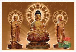 Đức Phật Thích Ca Đẹp PBS101