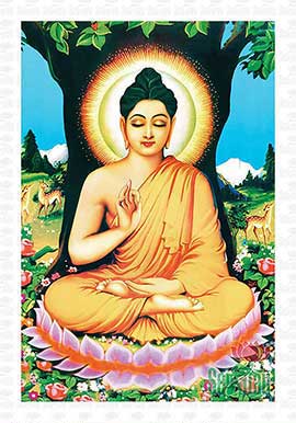 Đức Phật Thích Ca Đẹp - PBS17