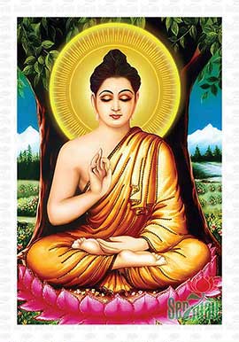Đức Phật Thích Ca Mâu Ni Đẹp - PBS19