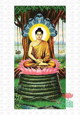 Đức Phật Thích Ca Mâu Ni Đẹp PBS82