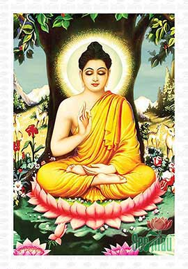 Đức Phật Thích Ca Mâu Ni - PBS18