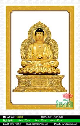 Đức Phật Thích Ca Mâu Ni PBS186