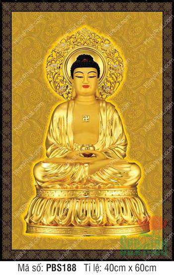 Hình Ảnh Phật Thích Ca PBS188, Tôn tượng kim thân tỏa hào quang