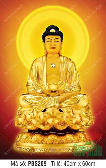 Hình Ảnh Phật Thích Ca PBS209, Kim thân rực rỡ ngự đài sen báu