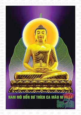 Hình Phật Thích Ca Đẹp - PBS64