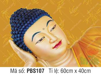Hình Phật Thích Ca Khổ Lớn PBS107, diện tượng nhập Niết Bàn