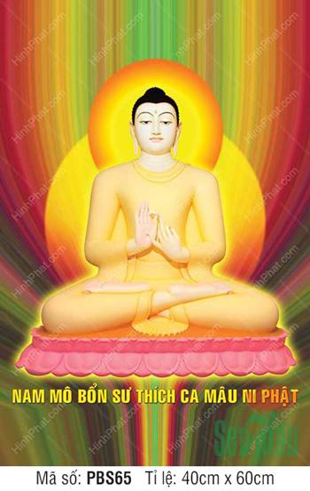 Hình Phật Thích Ca Khổ Lớn PBS65, Ngài tọa thiền trên đài sen hồng