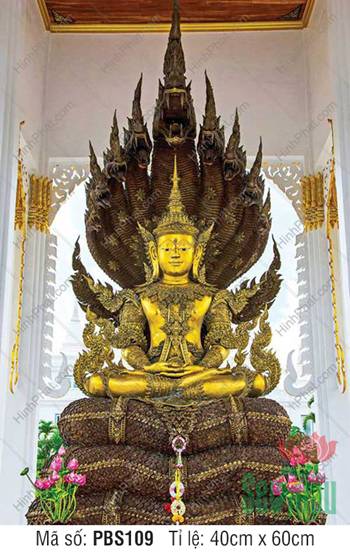 Hình Phật Thích Ca Mâu Ni Đẹp PBS109, Tượng vàng ngự tòa Naga