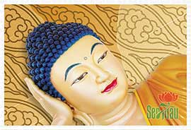 Hình Phật Thích Ca Mâu Ni PBS108