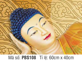 Hình Phật Thích Ca Mâu Ni PBS108, tôn diện nhập Niết Bàn tự tại