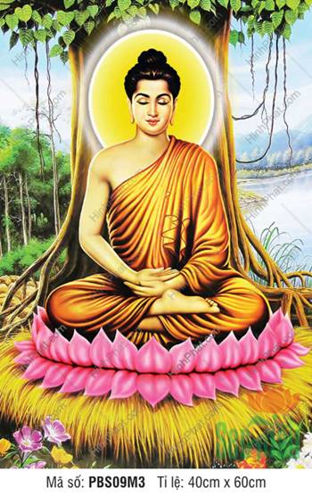 Hình Phật Thích Ca PBS09M3, tôn ảnh tọa thiền dưới cội bồ đề