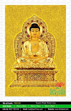 Hình Phật Thích Ca PBS168