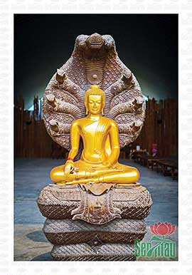 Phật Thích Ca Đẹp PBS111