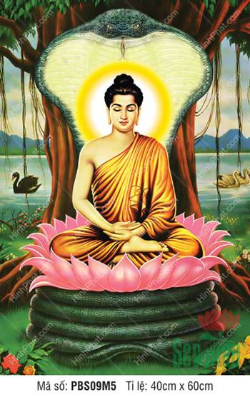 Phật Thích Ca Mâu Ni Đẹp PBS09M5, Ngài tọa thiền trên mình rắn