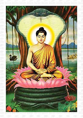 Phật Thích Ca Mâu Ni Đẹp - PBS50