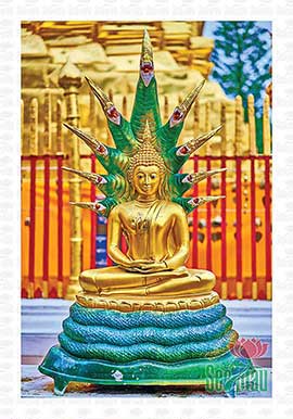 Phật Thích Ca Mâu Ni Đẹp PBS92