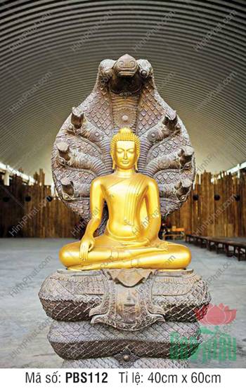 Phật Thích Ca Mâu Ni PBS112, tôn tượng vàng kim ngự tòa Naga