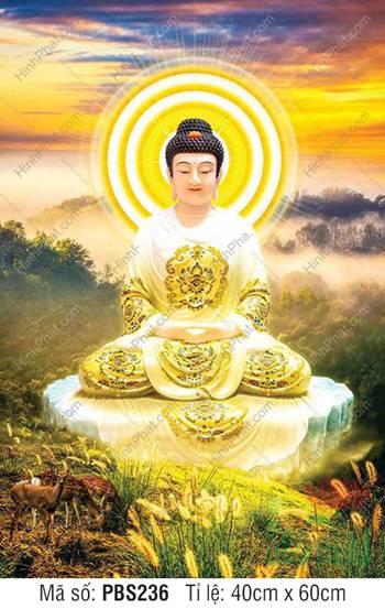Phật Thích Ca PBS236, Đức Thế Tôn y trắng vân vàng
