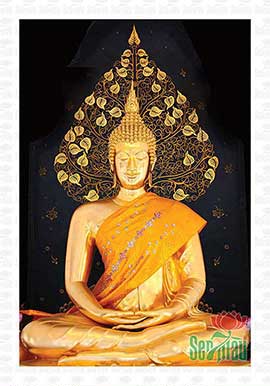 Tranh Phật Thích Ca Đẹp PBS115