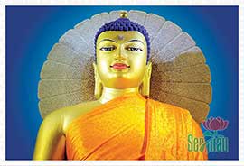 Tranh Phật Thích Ca Đẹp PBS94