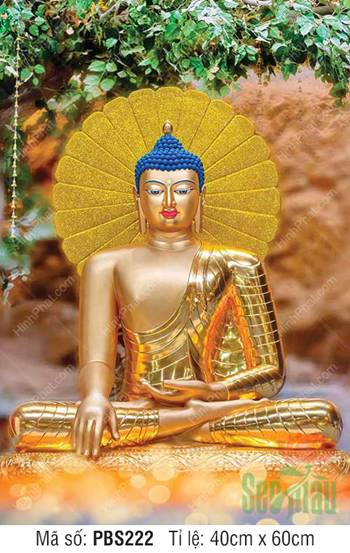 Tranh Phật Thích Ca Mâu Ni Đẹp PBS222, Đức Thế Tôn thân kim sắc