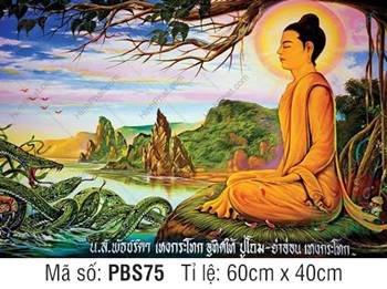 Tranh Phật Thích Ca Mâu Ni Đẹp PBS75, tôn ảnh thiền định hàng phục rắn