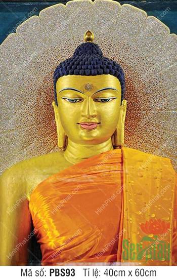Tranh Phật Thích Ca PBS93, tôn tượng diện kim thân uy nghiêm