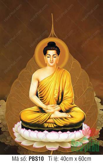 Bổn Sư Thích Ca Mâu Ni Phật PBS10, tĩnh tại dưới bóng lá bồ đề