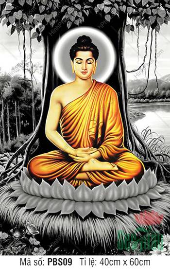 Tranh Phật Thích Ca Đẹp PBS09, tôn ảnh tọa thiền gốc bồ đề