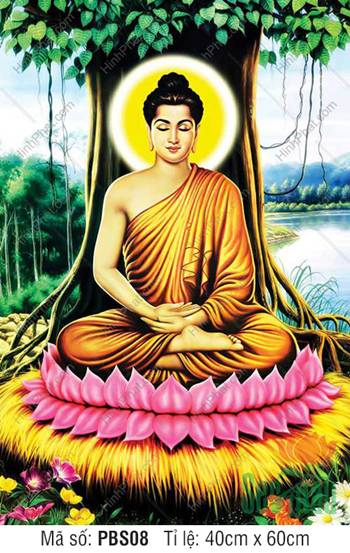 Tranh Phật Thích Ca Khổ Lớn PBS08, Đức Phật tọa dưới gốc Bồ Đề