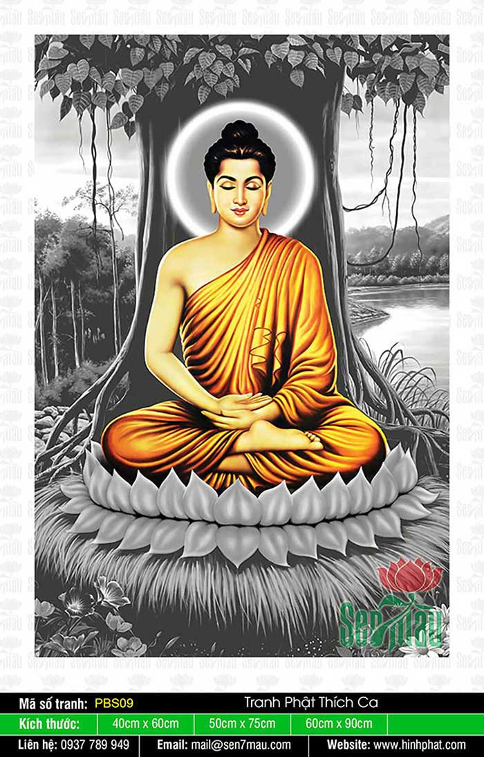 Tranh Phật Thích Ca Đẹp, Phật Thích Ca - Pbs09