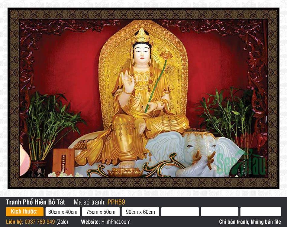 Hình Phổ Hiền Bồ Tát Đẹp Nhất PPH59 Hình Phổ Hiền Bồ Tát Đẹp Nhất PPH59 tôn tượng dát vàng ngự trên bạch tượng sáu ngà nền đỏ